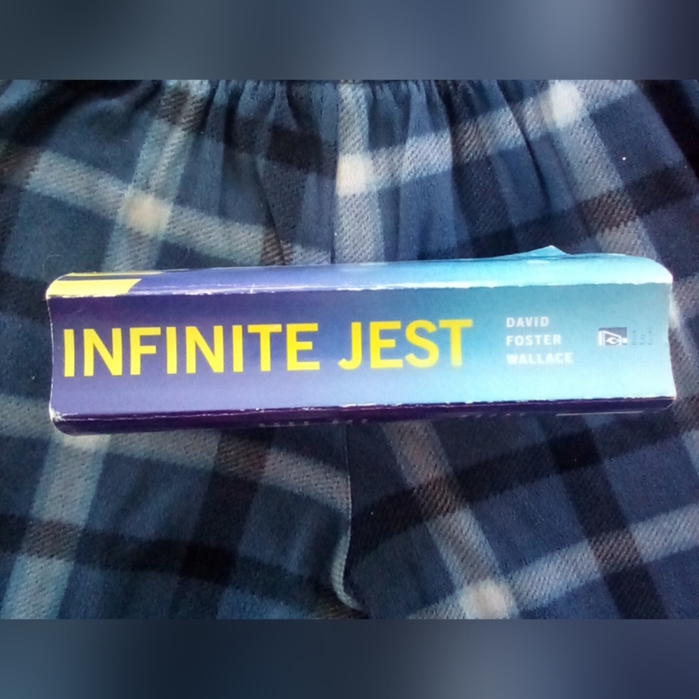 📖Infinite Jest Book (No Marked Pages)😎👍